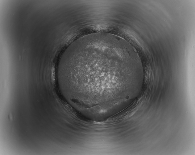 X0000094060700200710191101