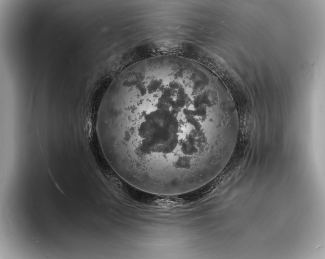 X0000094060703200710191101