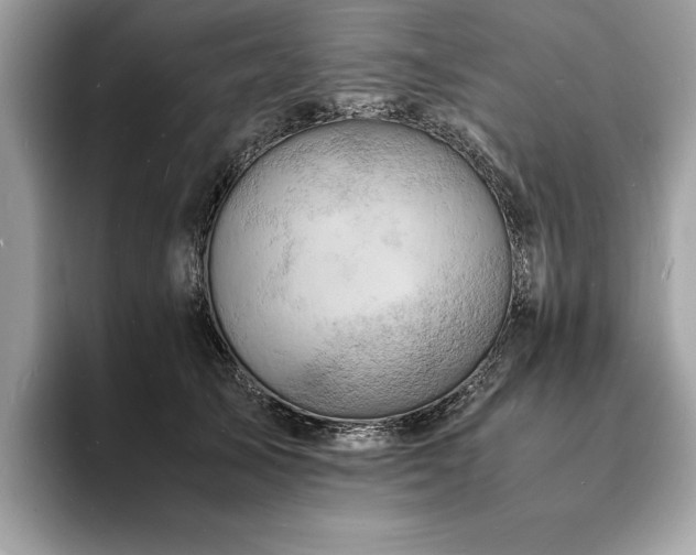 X0000094060705200710191101