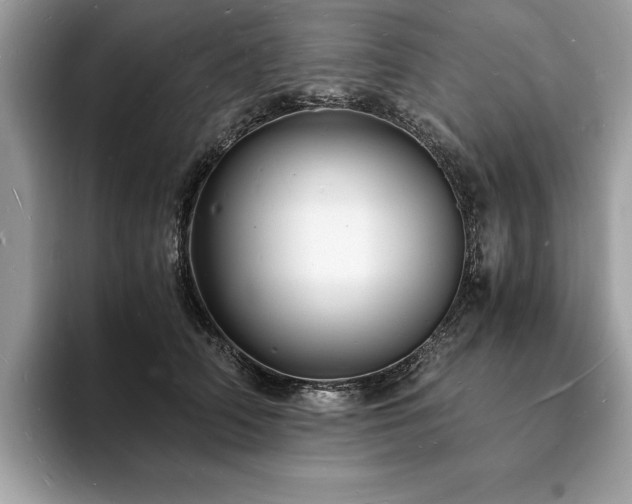 X0000094060706200710191101