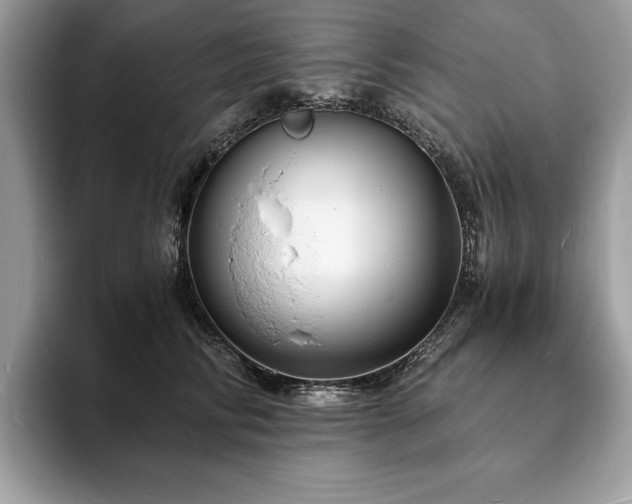 X0000094060710200710191101