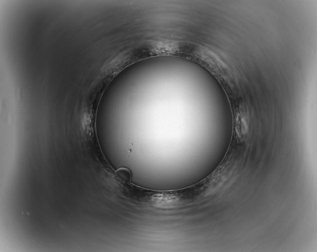 X0000094060714200710191101