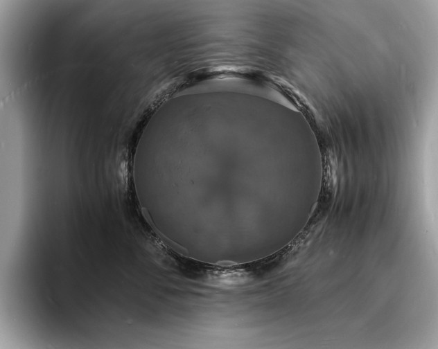 X0000094060716200710191101