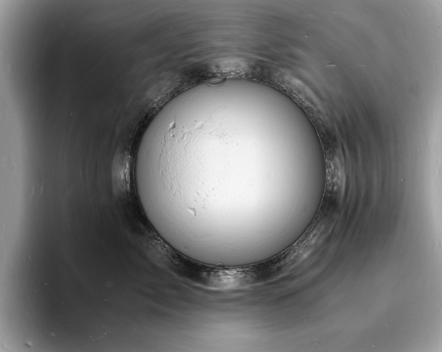 X0000094060717200710191101