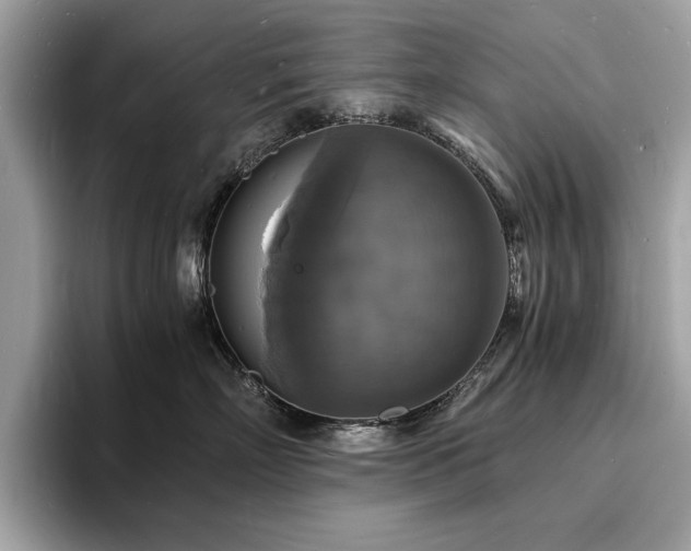 X0000094060718200710191101