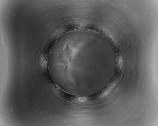 X0000094060719200710191101
