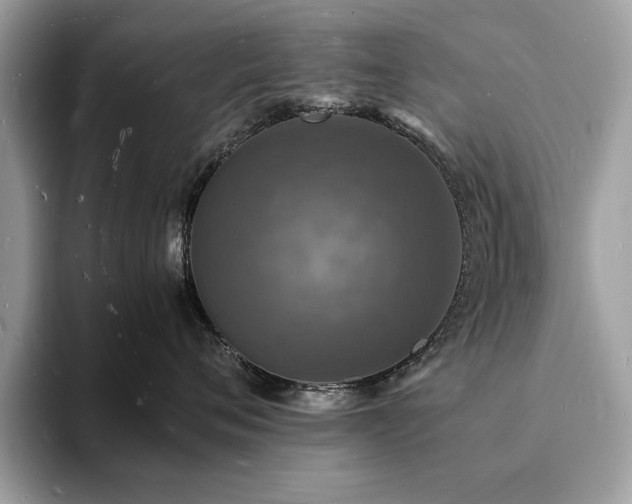 X0000094060720200710191101