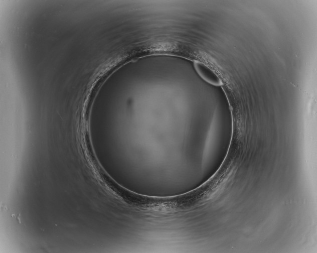 X0000094060721200710191101