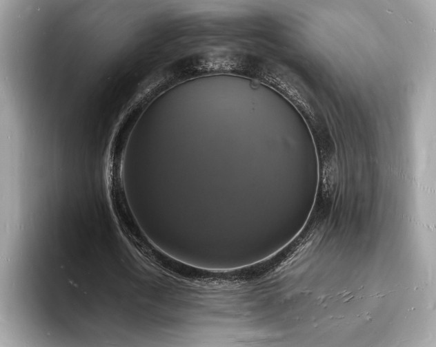 X0000094060722200710191101