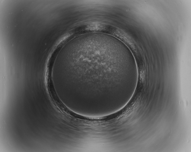 X0000094060724200710191101