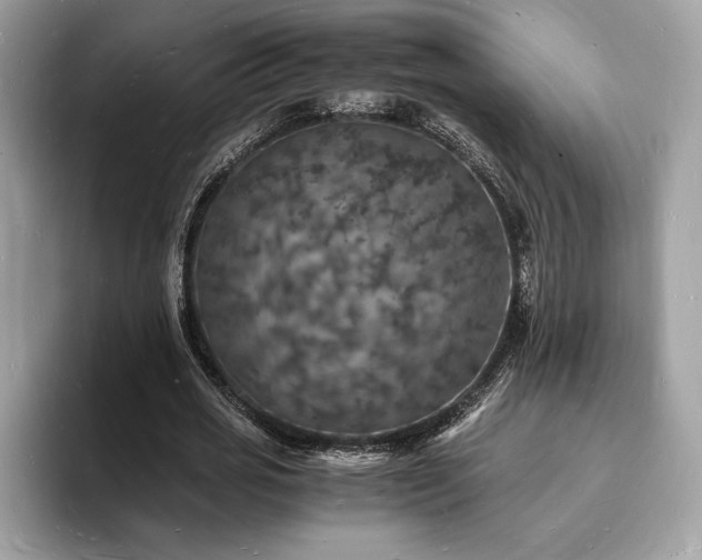 X0000094060725200710191101