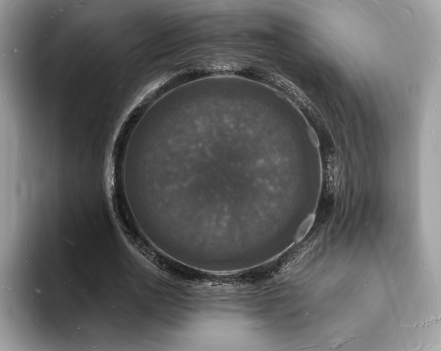 X0000094060726200710191101