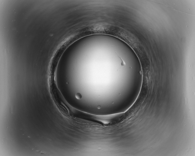 X0000094060728200710191101