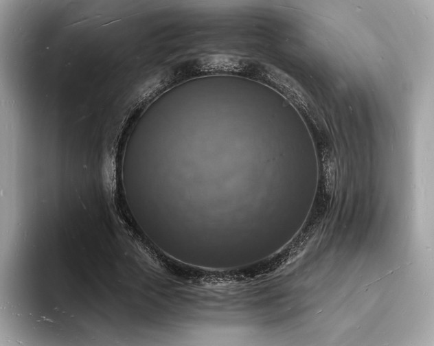 X0000094060729200710191101