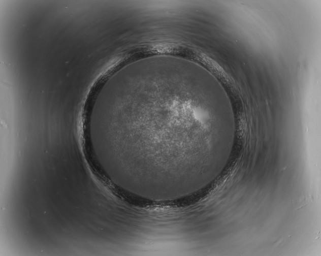 X0000094060730200710191101
