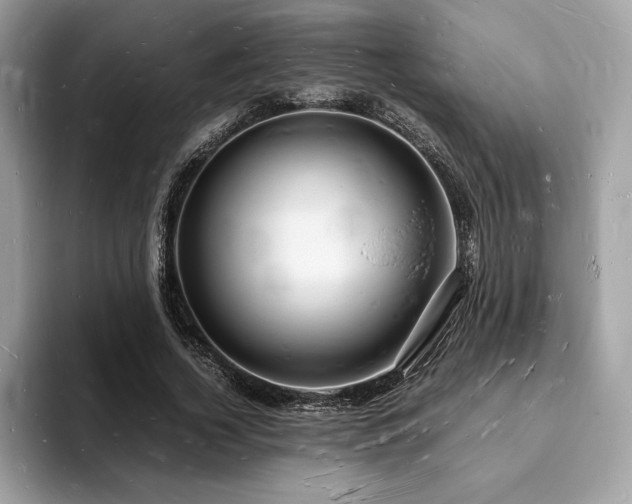 X0000094060732200710191101