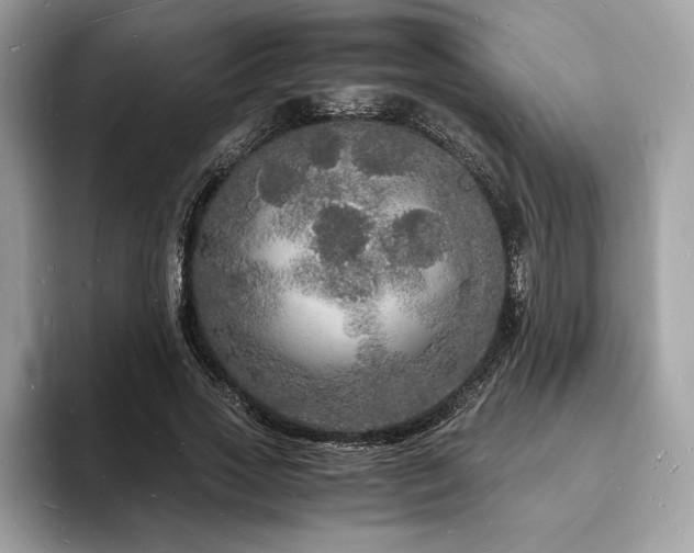 X0000094060733200710191101