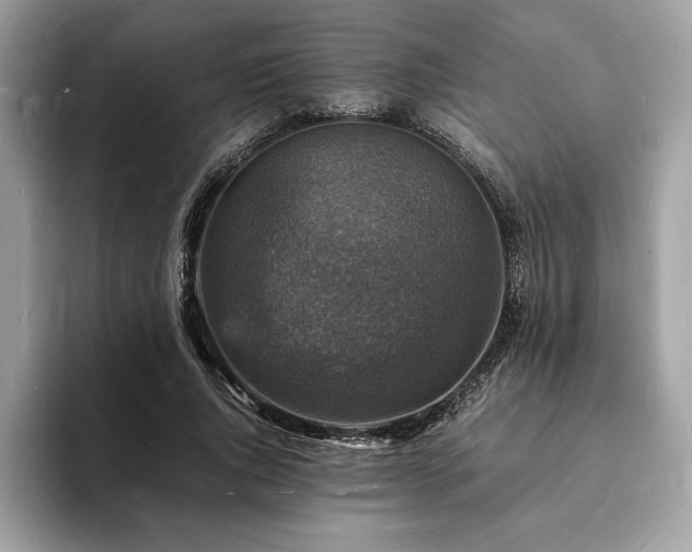 X0000094060736200710191101