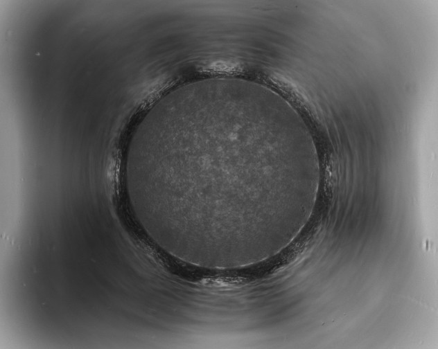 X0000094060739200710191101