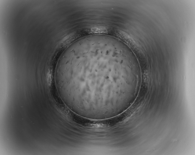 X0000094060741200710191101