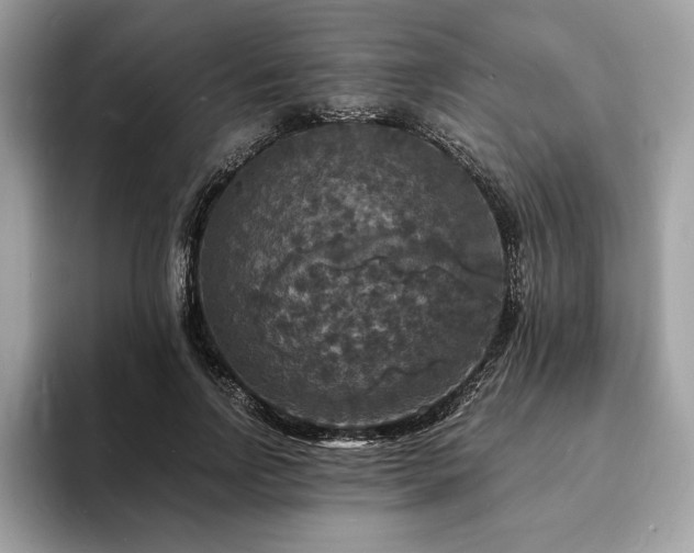 X0000094060742200710191101