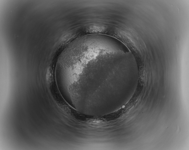 X0000094060743200710191101