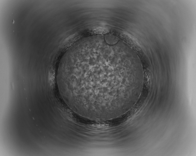 X0000094060745200710191101