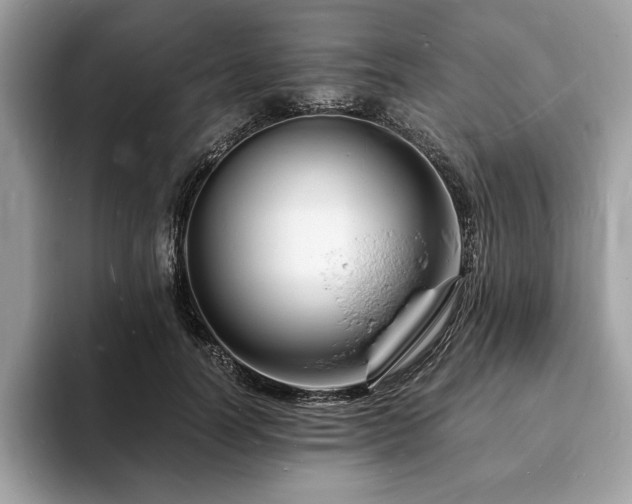X0000094060746200710191101