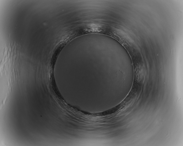 X0000094060747200710191101
