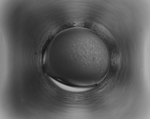 X0000094060748200710191101