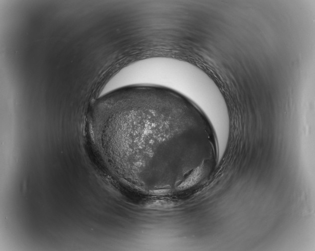 X0000094060750200710191101