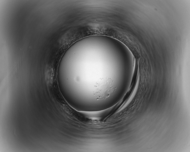 X0000094060752200710191101