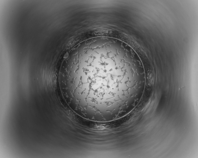 X0000094060753200710191101