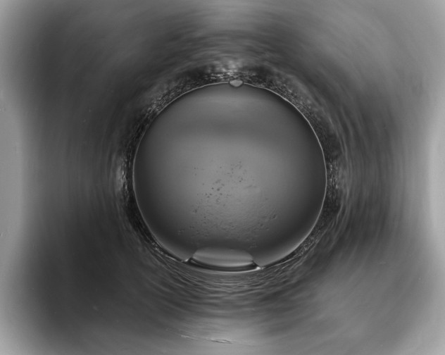 X0000094060754200710191101