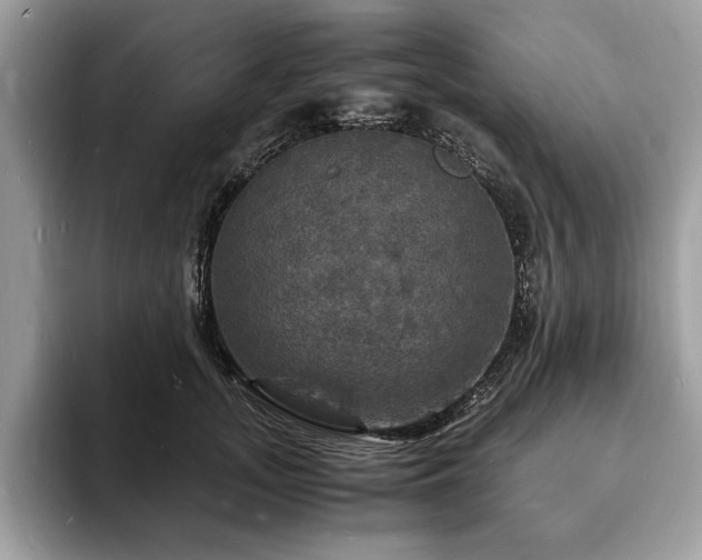 X0000094060755200710191101