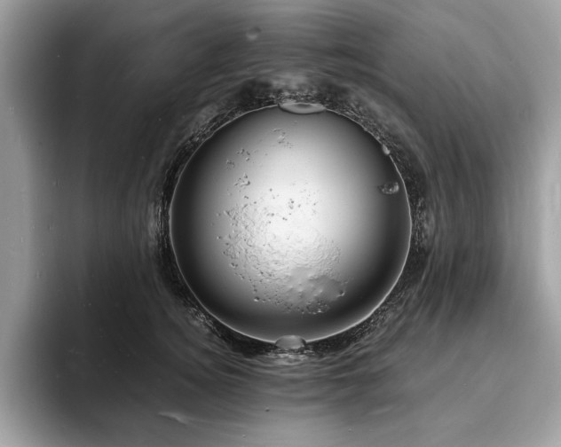 X0000094060756200710191101