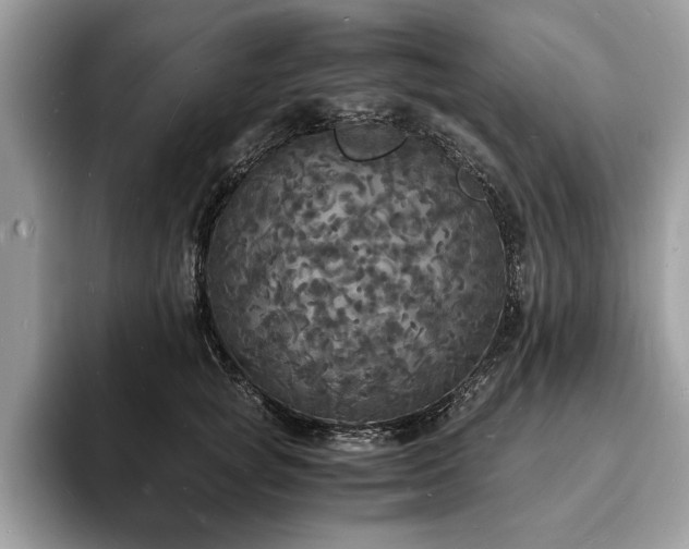 X0000094060757200710191101