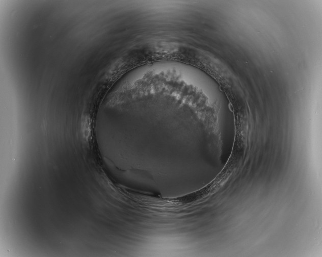 X0000094060758200710191101