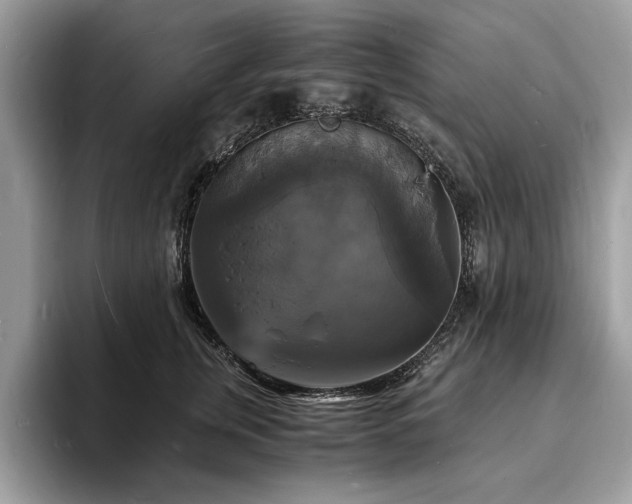 X0000094060759200710191101