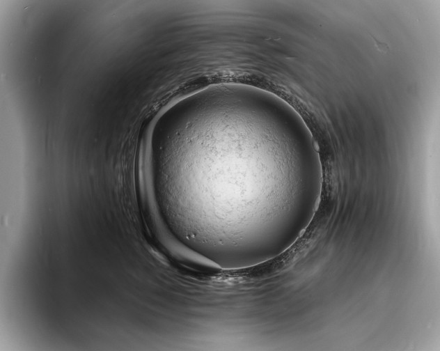 X0000094060760200710191101