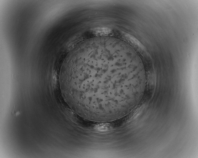 X0000094060761200710191101