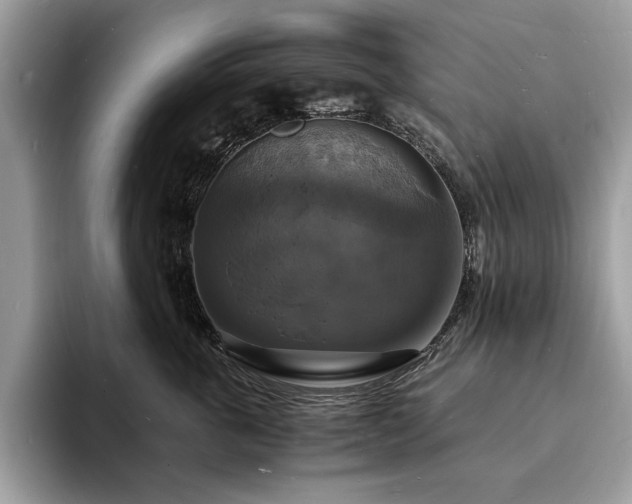 X0000094060763200710191101