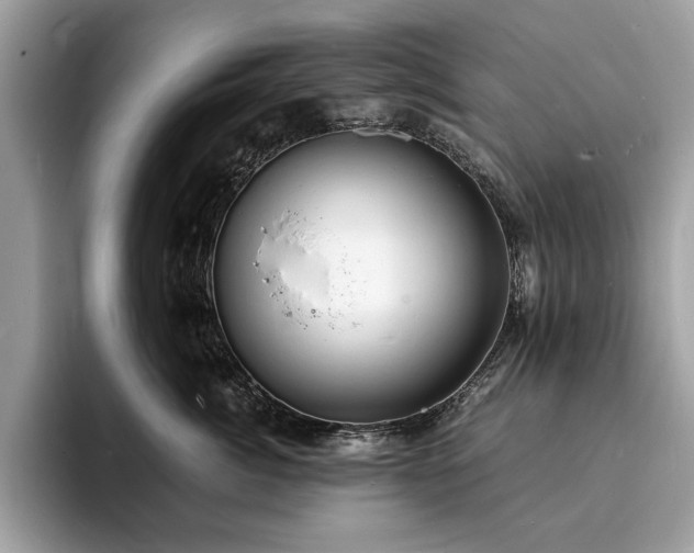 X0000094060764200710191101