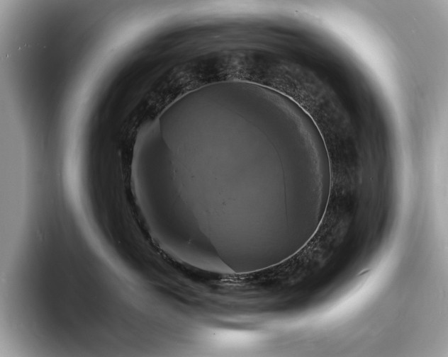 X0000094060766200710191101