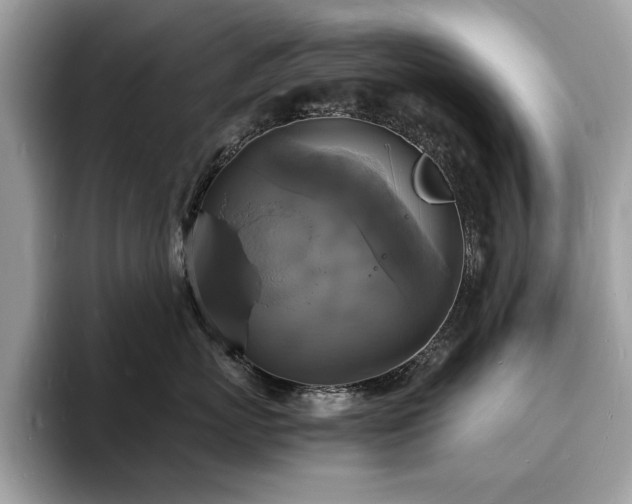 X0000094060767200710191101