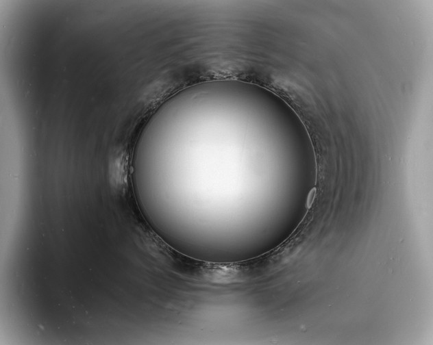 X0000094060768200710191101