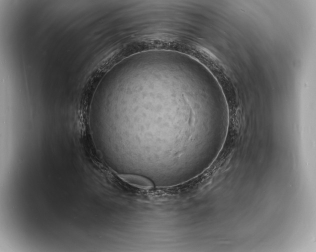X0000094060774200710191101