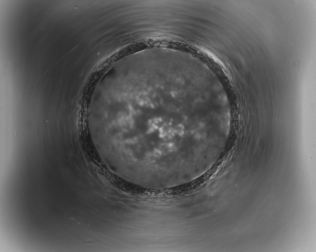 X0000094060775200710191101