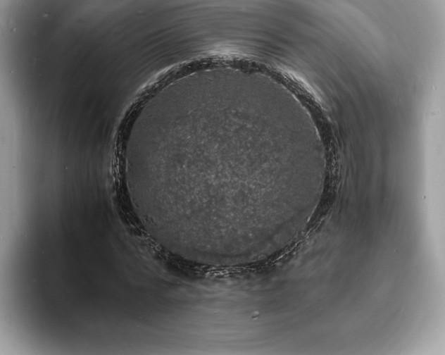 X0000094060776200710191101