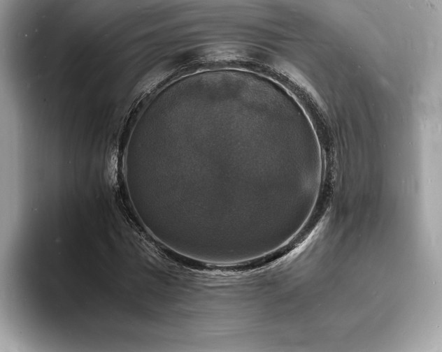 X0000094060777200710191101